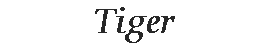 Tiger