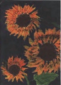 Img19.jpg