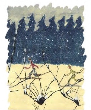 Img20.jpg